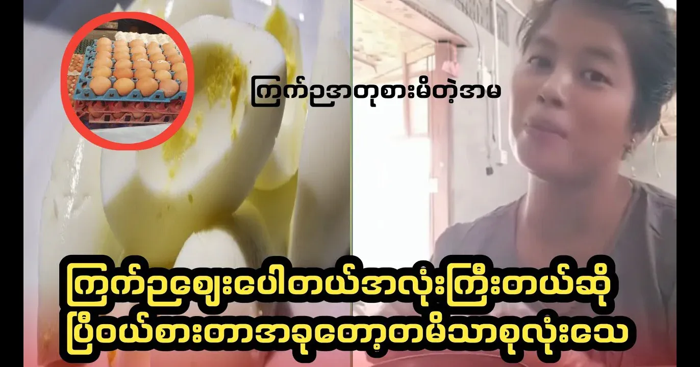 Eggs are cheap and the whole family dies