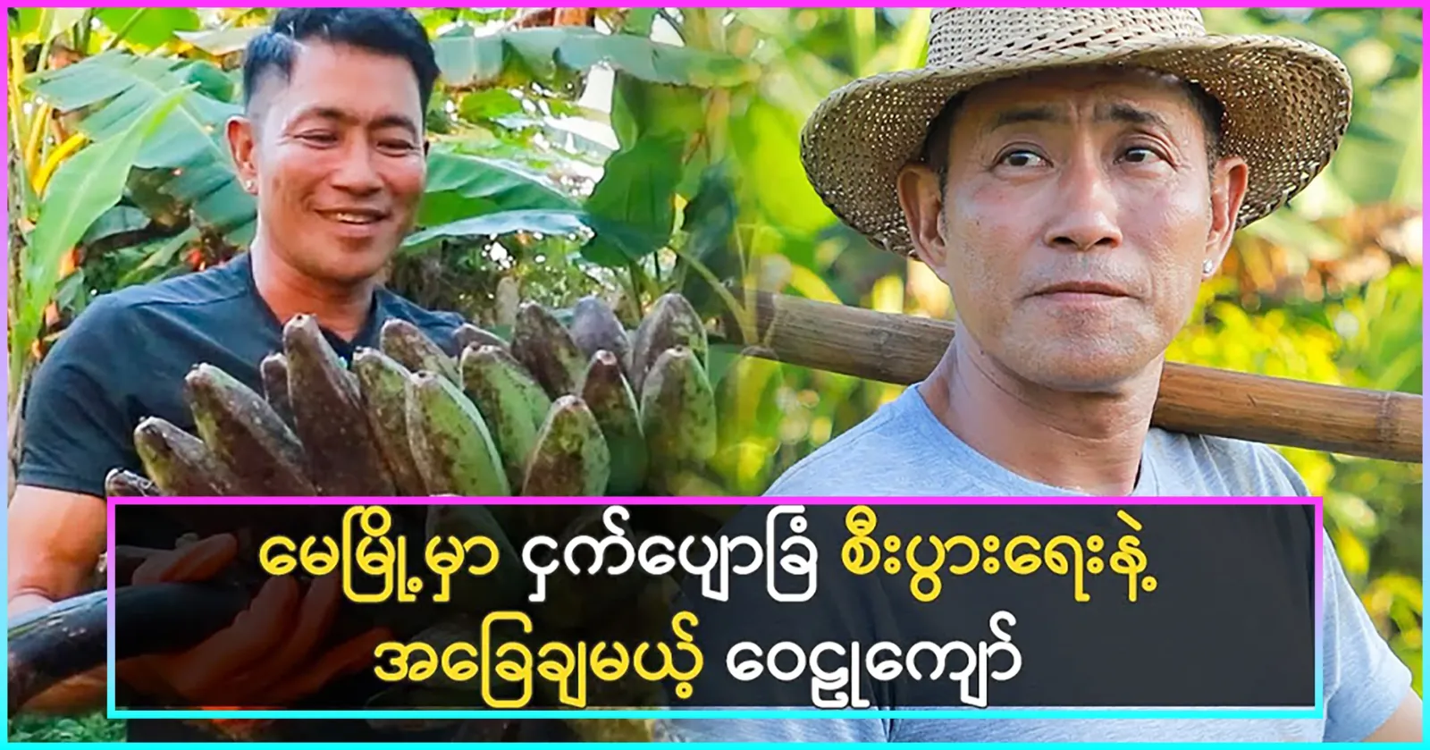 Actor Wailu Kyaw growing and selling bananas in Pyin Oo Lwin