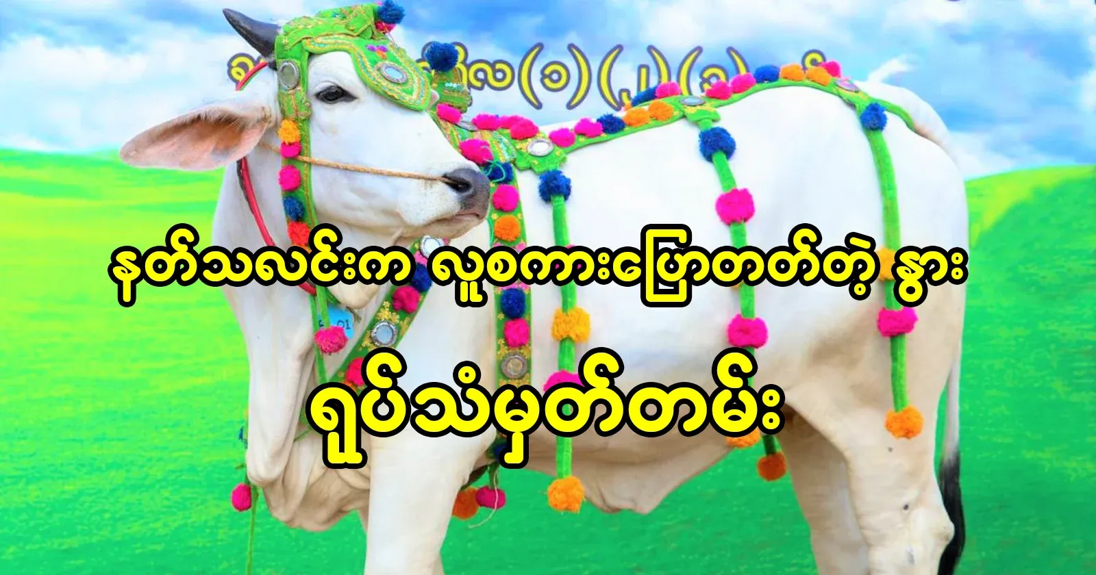 A cow from Natthalin City who can talk to people