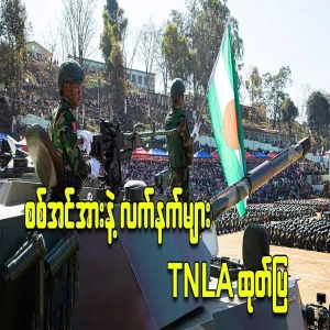 TNLA has revealed the new weapons