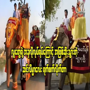 A wise elephant who suffered a tragedy because of people's actions