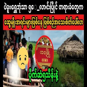 It turns out that the relatives behind the Bagu Shwe Bom Tha incident are hiding